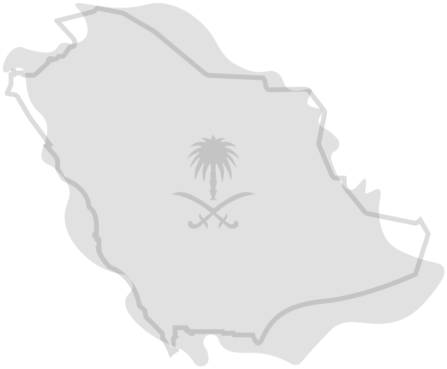 Saudi Map Icon